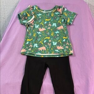 5 for $10 💜 Forest Animal Top and Leggings Size 24 Months/2T